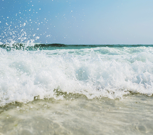 OceanPlastic